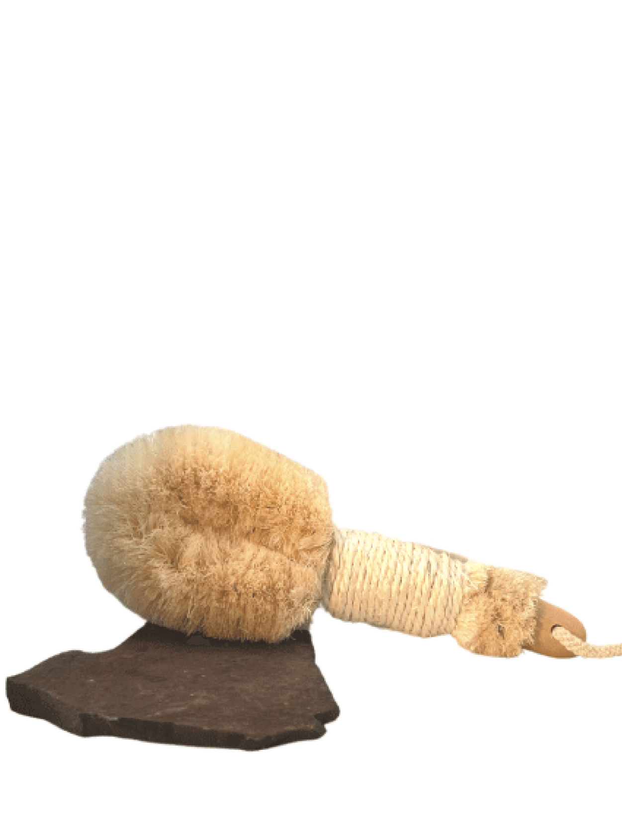 Ayurvedic Dry Brush