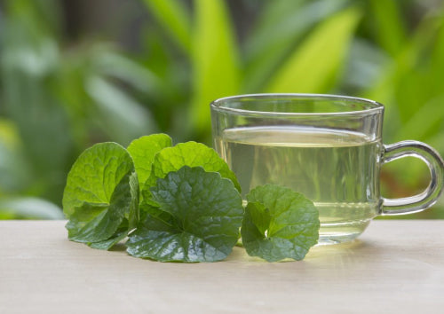 Guta Kola leaves next to clear glass cup with green liquid in it sitting on table with plants in background.