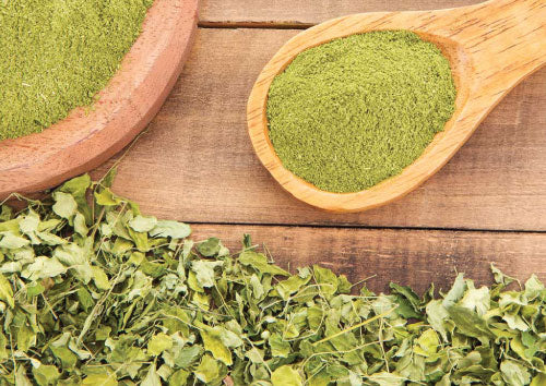 Green Moringa powder in a wooden scoop and bowl on a wooden surface with green leaves.